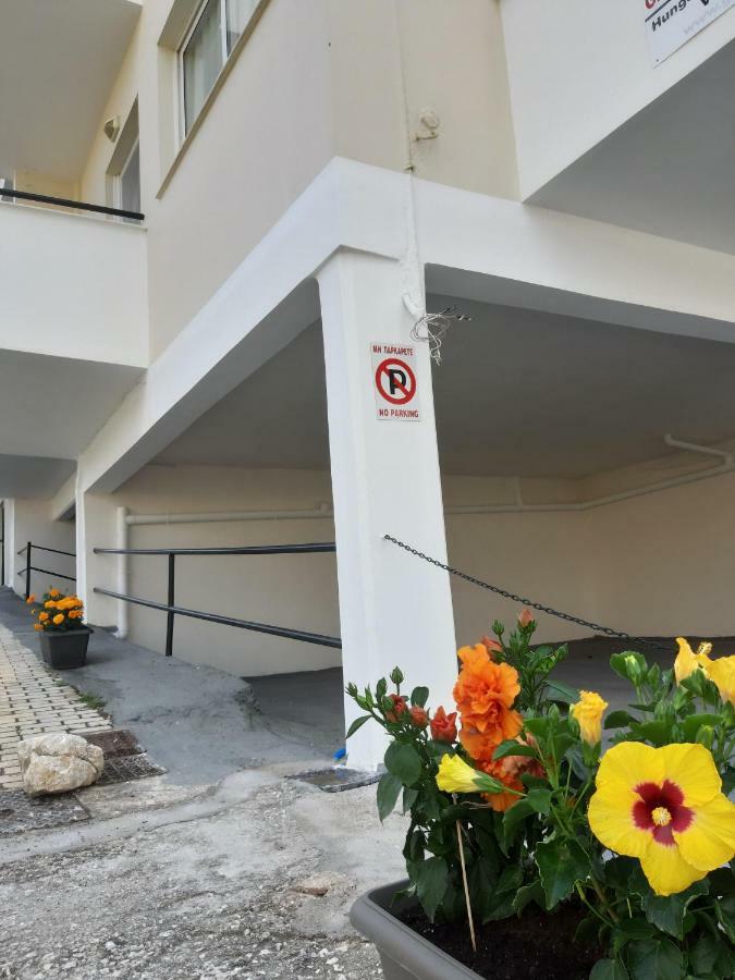 Ntemos Apartments トロン エクステリア 写真